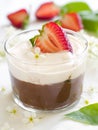 Chocolate Mousse dessert Royalty Free Stock Photo