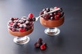 Chocolate mousse dessert with frozen berries on grey background close up isolated horizontal photo Royalty Free Stock Photo