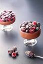 Chocolate mousse dessert with frozen berries on grey background close up isolated in sunlight Royalty Free Stock Photo
