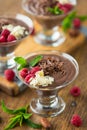 Chocolate mousse with raspberry, mint and almonds Royalty Free Stock Photo