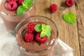 Chocolate mousse with raspberry Royalty Free Stock Photo