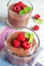Chocolate mousse with raspberry Royalty Free Stock Photo