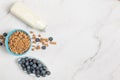 Chocolate Muesli Bar with Blueberries Royalty Free Stock Photo