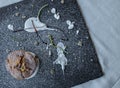 Chocolate muffin on a black board indicated by yogurt, lemon zest and icing sugar