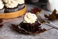 Chocolate muffin close-up. Autumn homemade dessert Royalty Free Stock Photo