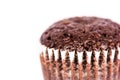 Chocolate muffin close up Royalty Free Stock Photo