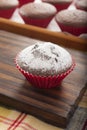 Chocolate muffin Royalty Free Stock Photo