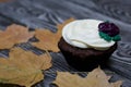 Chocolate muffin with cream flower. Among the dried maple leaves. Lies on pine boards painted black and white
