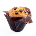 Chocolate muffin Royalty Free Stock Photo