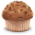 Chocolate Muffin