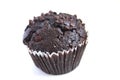Chocolate muffin isolated on white Royalty Free Stock Photo