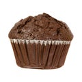 Chocolate Muffin Isolated on a White Background Royalty Free Stock Photo