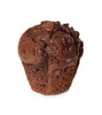 Chocolate muffin isolated on white Royalty Free Stock Photo