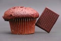 Chocolate muffin Royalty Free Stock Photo