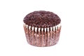 Chocolate muffin Royalty Free Stock Photo