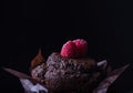 Chocolate muffin with raspberry dark cupcake bake dessert brown