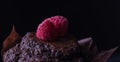 Chocolate muffin with raspberry dark cupcake bake dessert brown