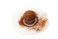 Chocolate muffin on a saucer in the cocoa powder . Royalty Free Stock Photo