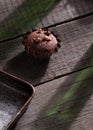 Chocolate muffin topped with walnuts Royalty Free Stock Photo