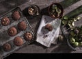 Chocolate muffin topped with walnuts Royalty Free Stock Photo