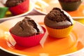 Chocolate muffins Royalty Free Stock Photo