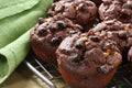 Chocolate Muffins Royalty Free Stock Photo