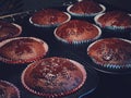 Chocolate muffins baking in the oven, homemade cakes recipe, food and cooking Royalty Free Stock Photo