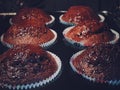 Chocolate muffins baking in the oven, homemade cakes recipe, food and cooking Royalty Free Stock Photo