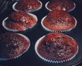 Chocolate muffins baking in the oven, homemade cakes recipe, food and cooking Royalty Free Stock Photo