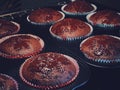 Chocolate muffins baking in the oven, homemade cakes recipe, food and cooking Royalty Free Stock Photo