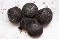 Chocolate muffins on a gray background. Royalty Free Stock Photo