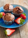 Chocolate muffins Royalty Free Stock Photo