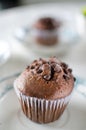 Chocolate muffins on porcelain dish