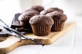 Chocolate muffins. Sweet dark cupcakes with chocolate and vanilla pods Royalty Free Stock Photo