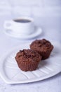 Chocolate muffins on a white plate. Homemade baking.