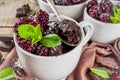 Chocolate mug cake with blackberry Royalty Free Stock Photo