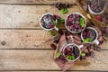 Chocolate mug cake with blackberry Royalty Free Stock Photo