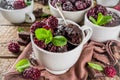 Chocolate mug cake with blackberry Royalty Free Stock Photo