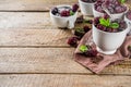 Chocolate mug cake with blackberry Royalty Free Stock Photo