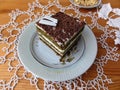 Chocolate nettle cream cake Royalty Free Stock Photo