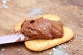 Chocolate nutella with biscuits Royalty Free Stock Photo