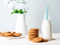 Chocolate oatmeal cookies and milk in bottle, healthy snack. Light background, grey light wall Royalty Free Stock Photo