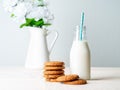 Chocolate oatmeal cookies and milk in bottle, healthy snack. Light background, grey light wall Royalty Free Stock Photo