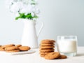 Chocolate oatmeal cookies and milk in glass, healthy snack. Light background, grey light wall Royalty Free Stock Photo