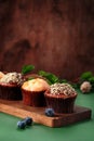 Chocolate and orange cupcakes on a wooden board with Christmas decorations. Sweet muffins Royalty Free Stock Photo