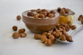 Chocolate paste, hazelnuts, cooking on a light background Royalty Free Stock Photo