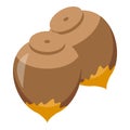 Chocolate paste nuts icon, isometric style