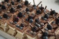 Chocolate pastry individual sweets with berries at wedding candy buffet bar