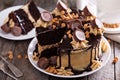 Chocolate peanut butter cake with frosting