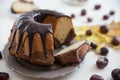 Chocolate Peanut Butter Sponge Cake Royalty Free Stock Photo